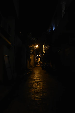 A dimly lit alleyway with shadows hinting at hidden secrets.