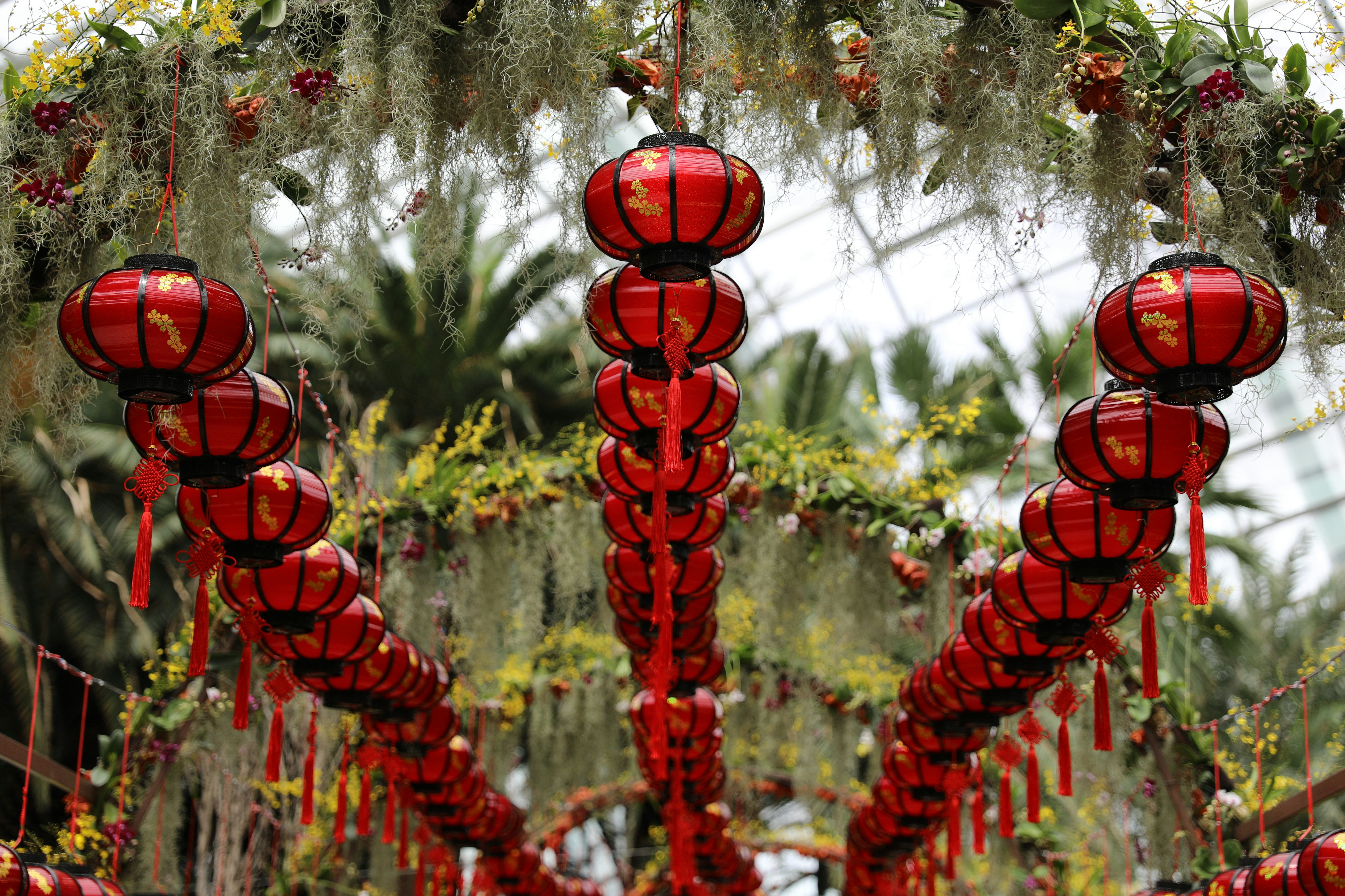 Christian Chinese New Year Wishes: Heartfelt Blessings