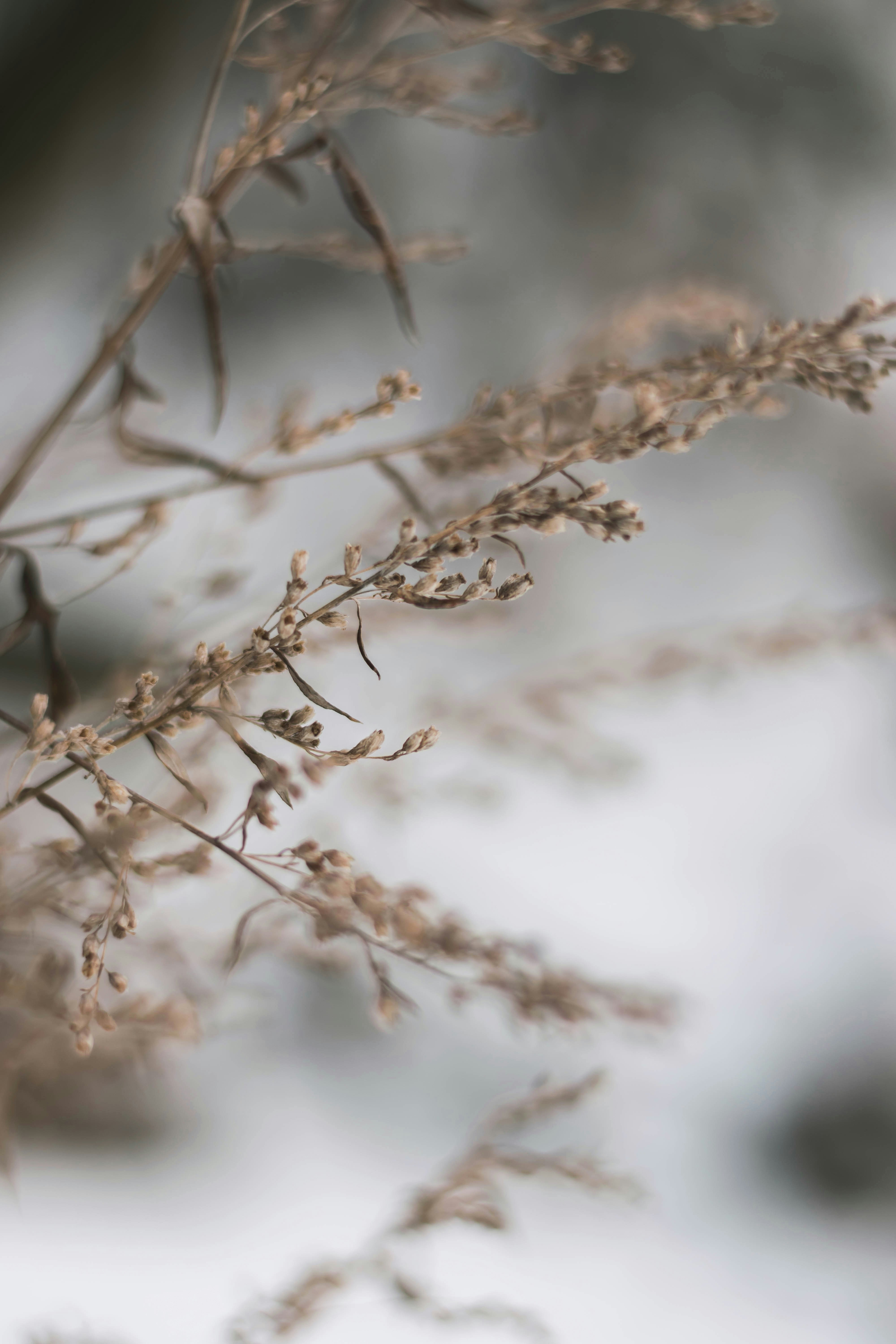 Photo by christopher_ivanov