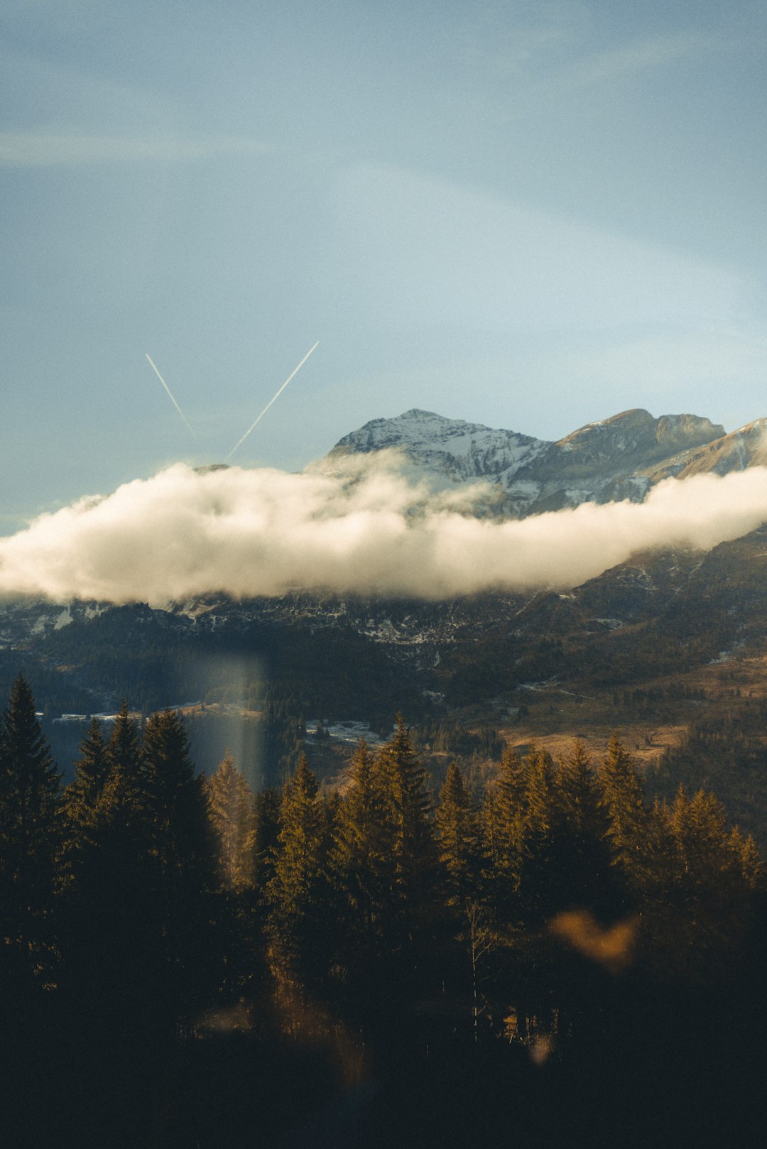 white clouds covering mountain peak with pine trees in foreground