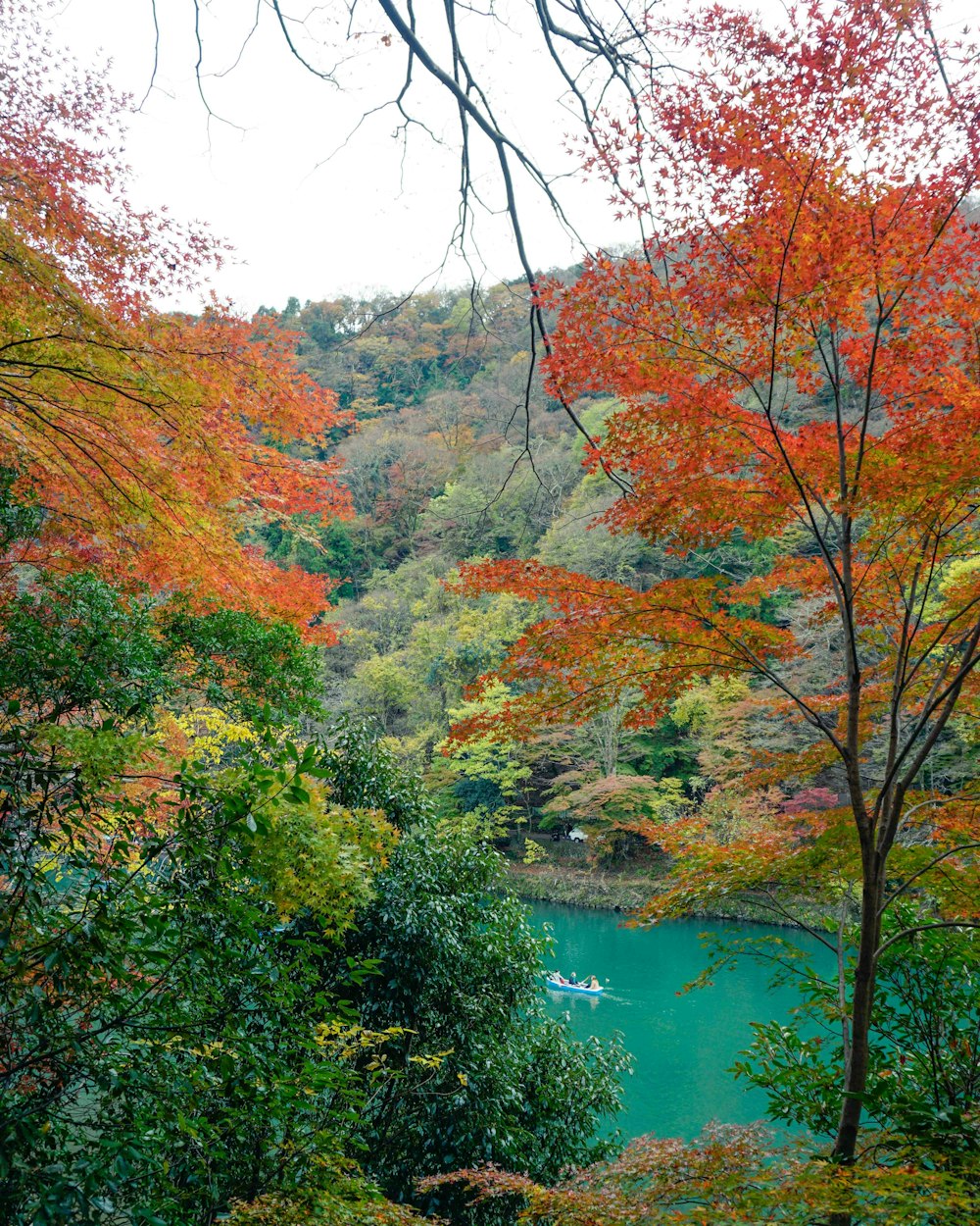 green water and golden leaves