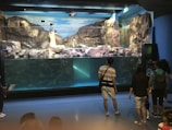 A group of people stands observing a large aquarium exhibit. The exhibit features a rocky landscape with water visible on the lower half. A person behind the glass is interacting with the exhibit, possibly a trainer or staff member. The environment suggests an indoor setting, and the atmosphere appears educational and engaging.