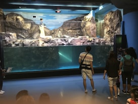 A group of people stands observing a large aquarium exhibit. The exhibit features a rocky landscape with water visible on the lower half. A person behind the glass is interacting with the exhibit, possibly a trainer or staff member. The environment suggests an indoor setting, and the atmosphere appears educational and engaging.