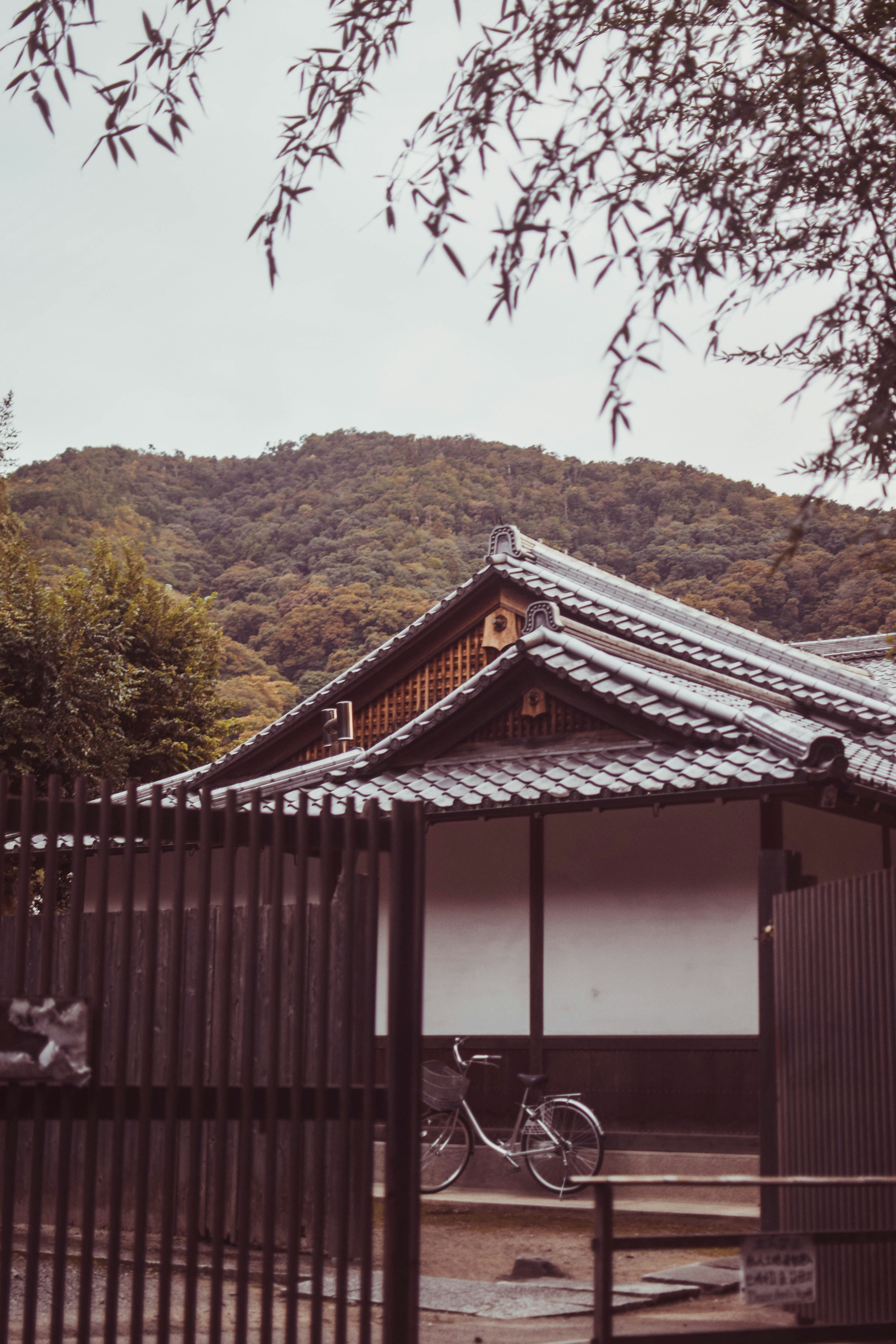 Photo by mtforeverest