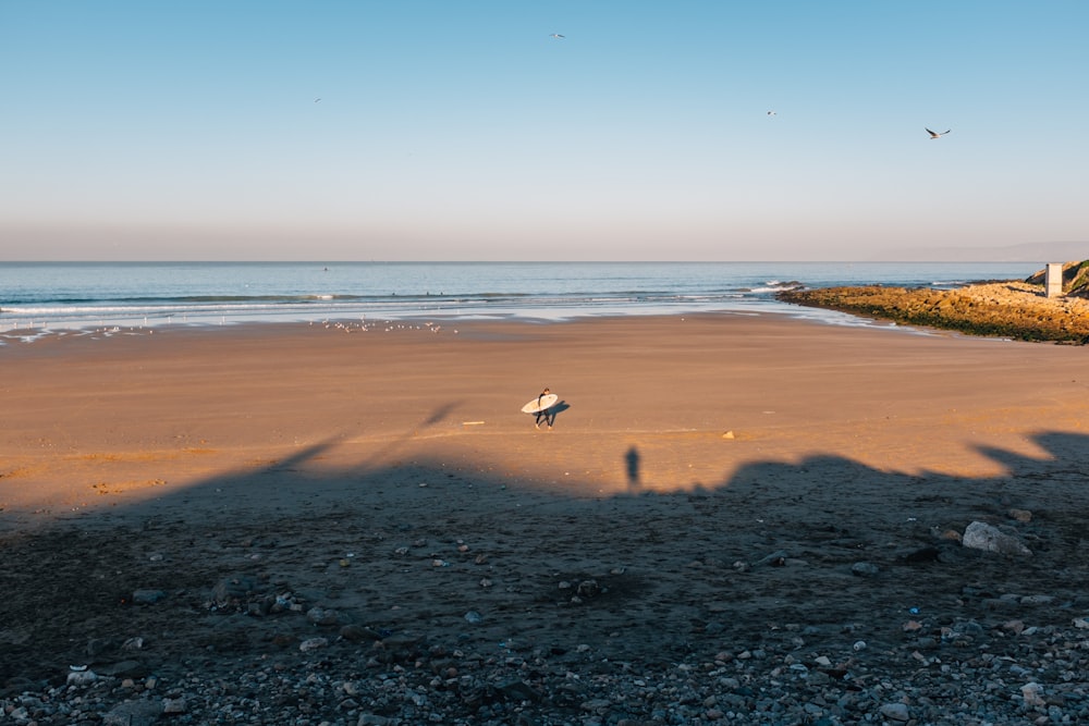 seashore sand