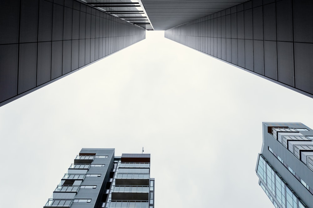 low angle photo of building