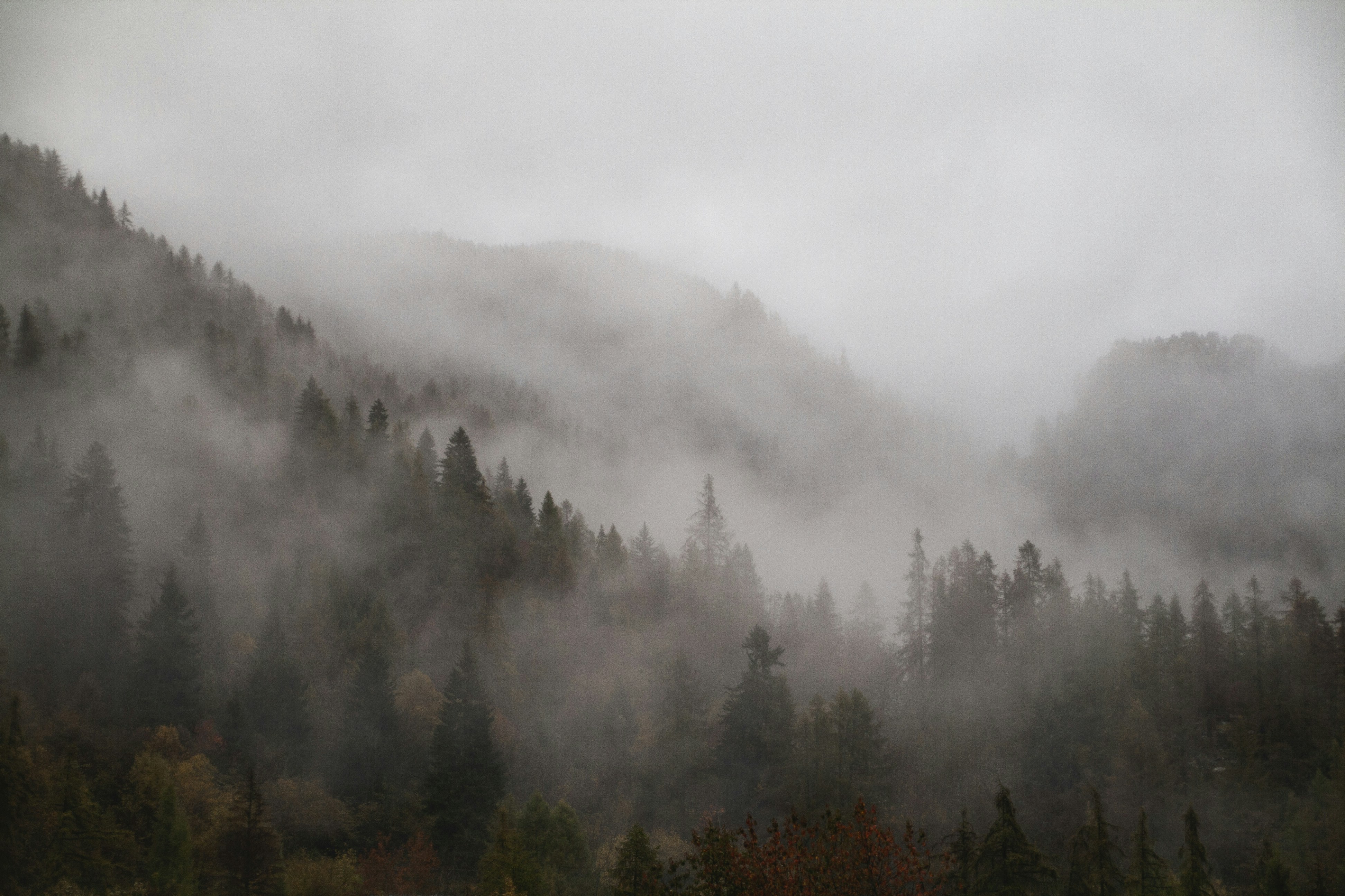 Photo by giordanorossoni