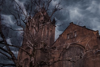 A gothic-style church building looms under an overcast, cloudy sky. The architecture features tall, pointed arches and intricate stained glass windows. A leafless tree with bare branches frames the scene, adding a haunting atmosphere.