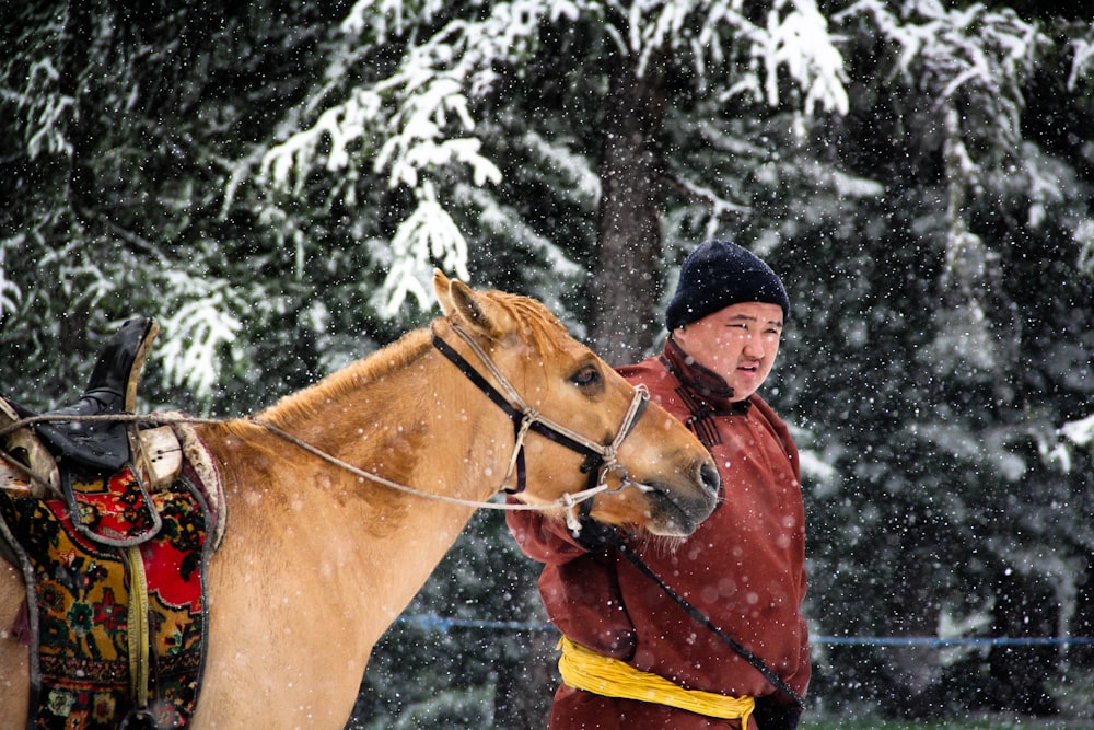 braunes Pferd und ein dicker Mann