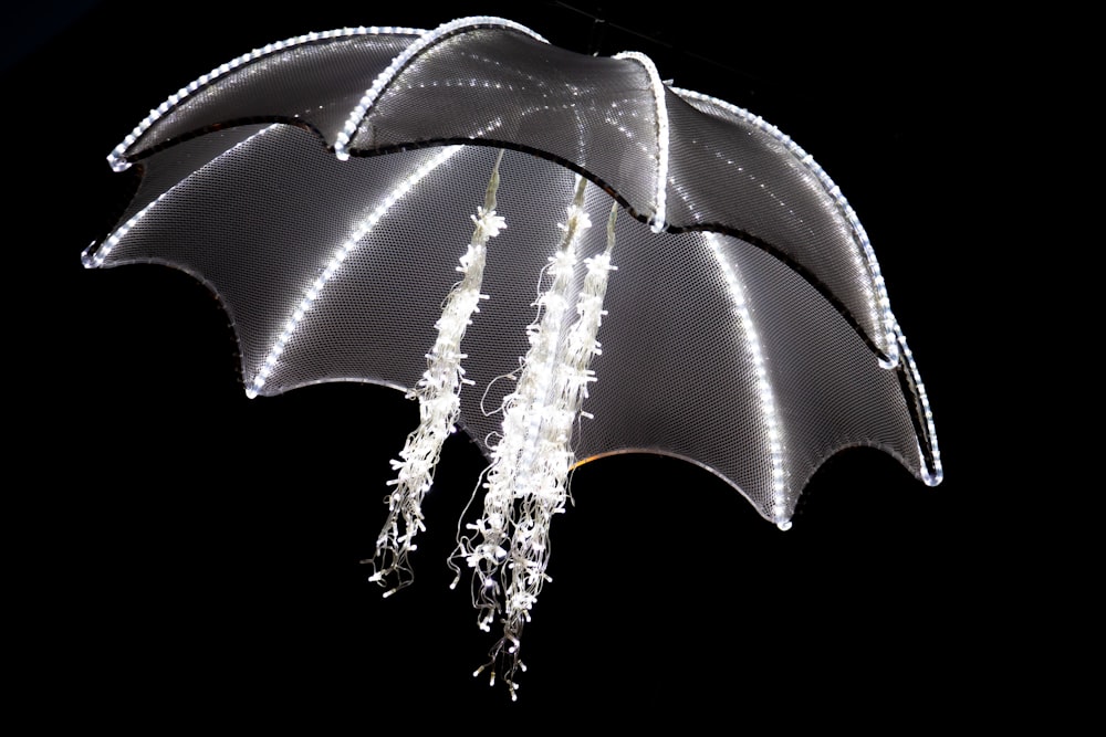 white and black umbrella