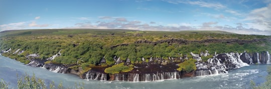 landscape photography of trees in Barnafoss Iceland
