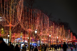 people walking beside red string lights