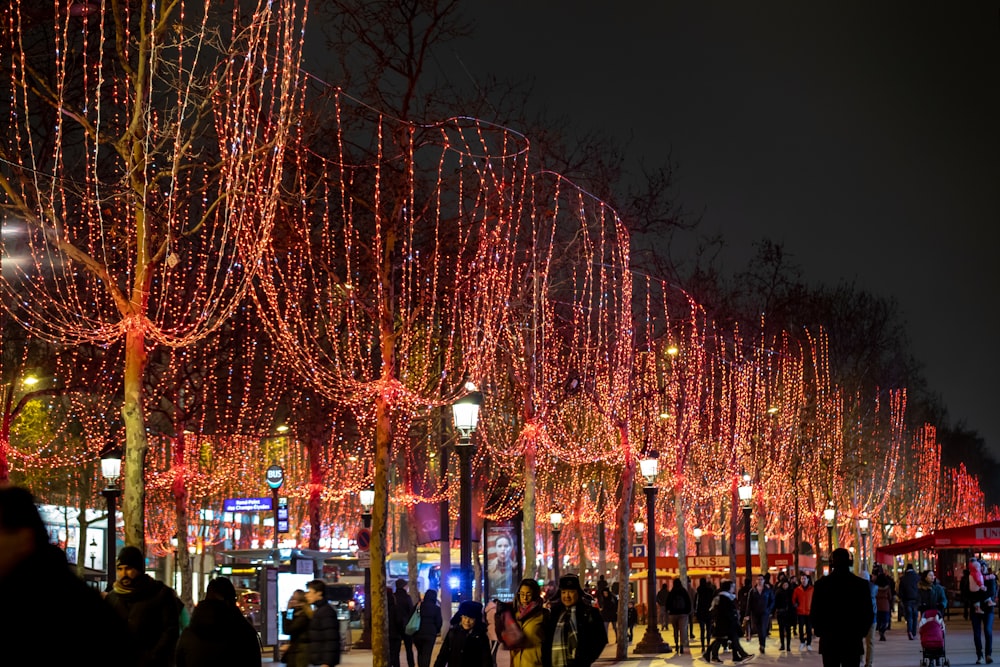 people walking beside red string lights