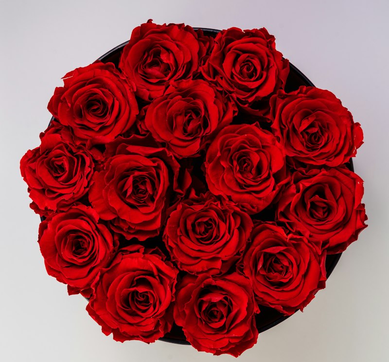standard: Designer's Choice — Love & Romance Flowers — red romantic rose bouquet delivered same-day in Las Vegas NV | Bud Weismiller Flowers