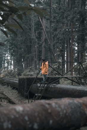 man standing on black metal staircase surrounded by trees