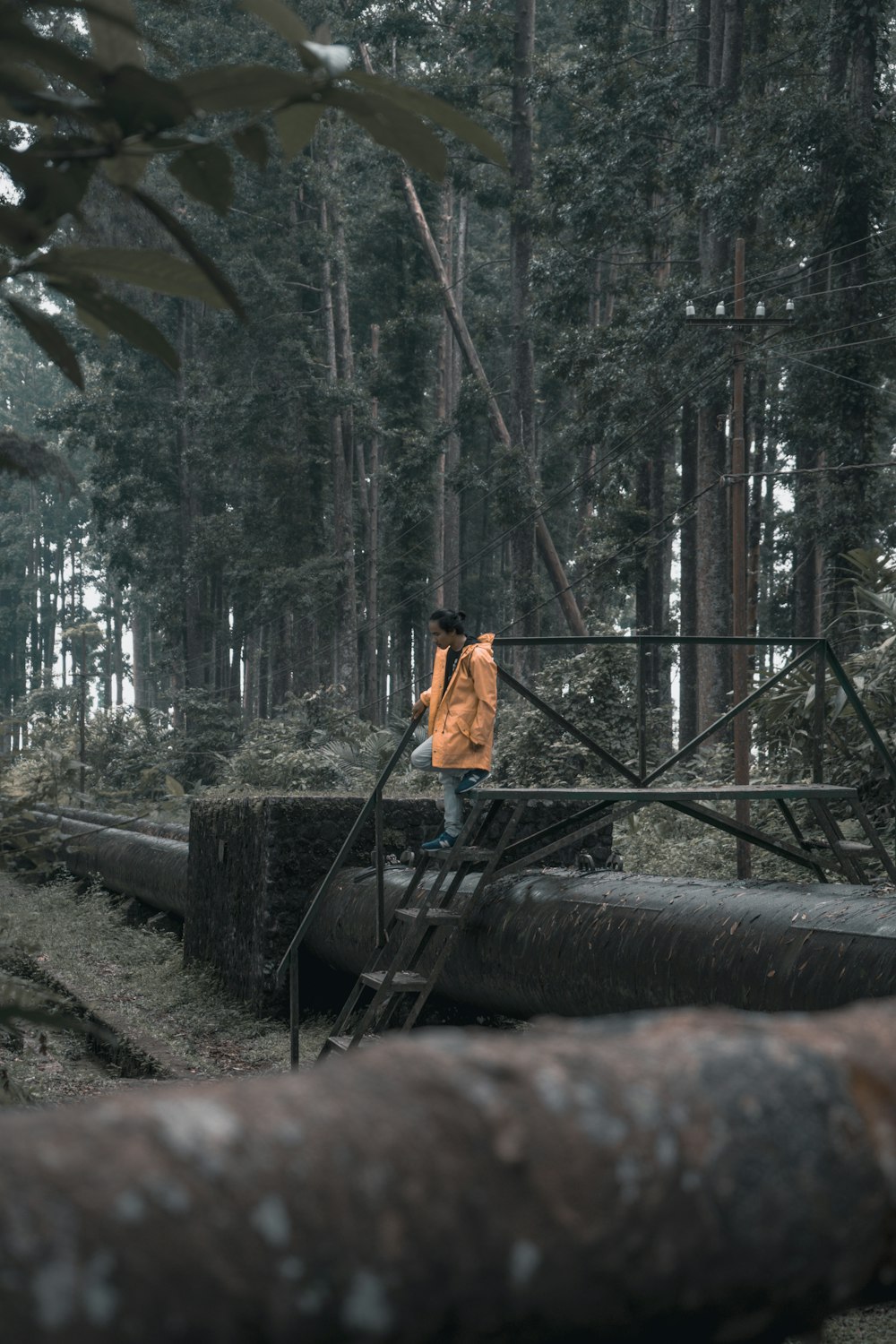 man standing on black metal staircase surrounded by trees