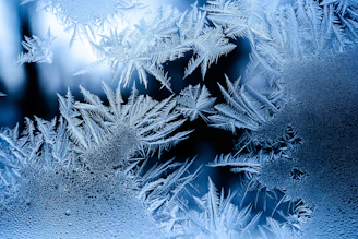 a close up of a frosty window
