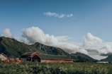 A scenic view of rolling hills with a rustic barn in the foreground.