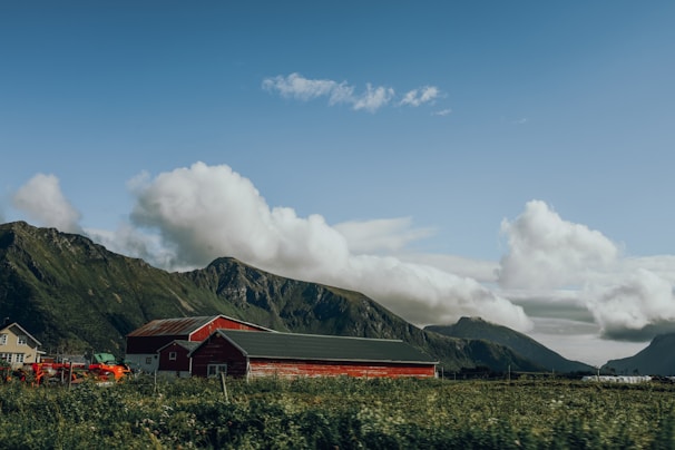 A scenic view of the farm with a rustic barn and surrounding greenery.