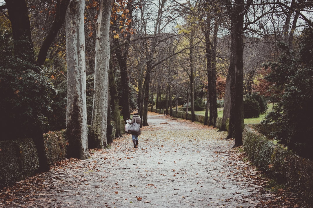 woman walking beside trees, Girl doubts walking through a park trail
