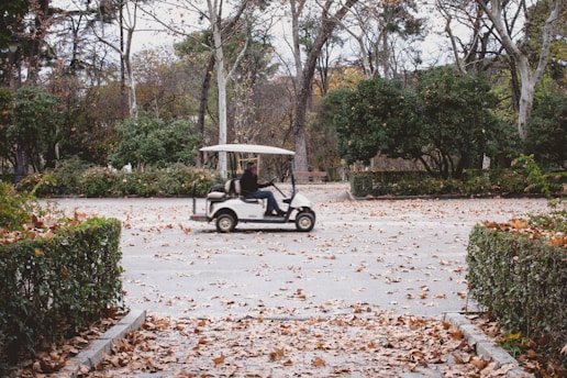 golf cart parking marking