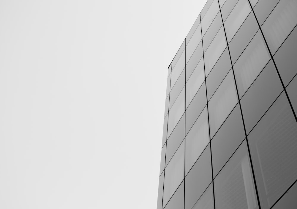 grey glass panel building in low angle photography