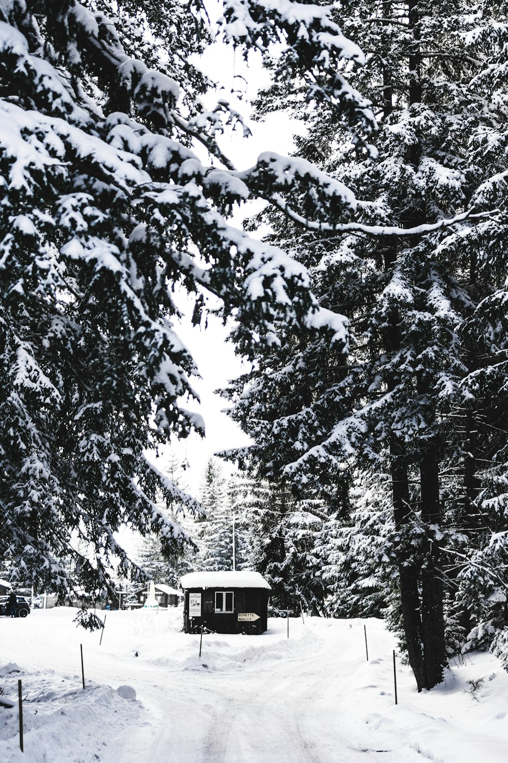 black house surrounded by snow during daytime