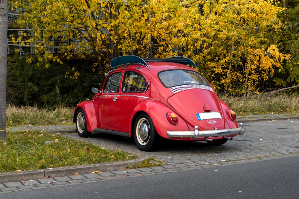 red beetle volkswagen