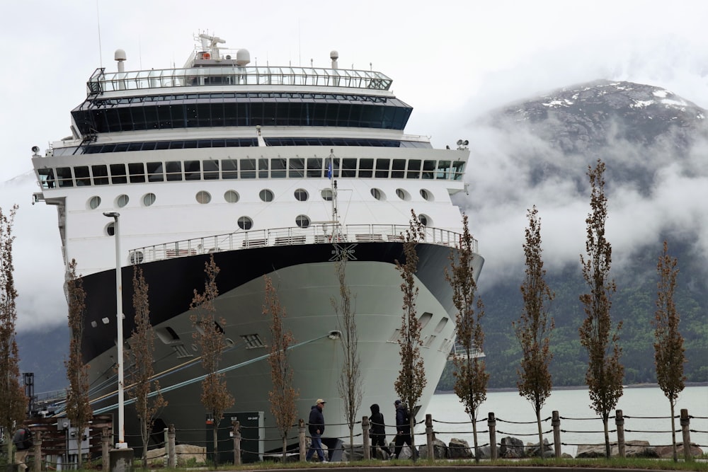 white ship docks in front of trees near people