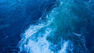 aerial photography of sea