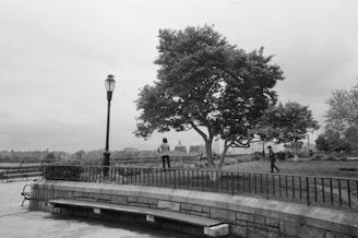 A pathway in a park features a large tree surrounded by iron railings and benches. Two people are present, one standing near the tree and the other walking on the grass. A traditional street lamp stands nearby. The background includes a view of distant city buildings under a cloudy sky.