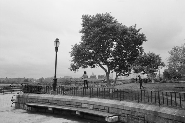 A pathway in a park features a large tree surrounded by iron railings and benches. Two people are present, one standing near the tree and the other walking on the grass. A traditional street lamp stands nearby. The background includes a view of distant city buildings under a cloudy sky.