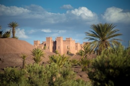 brown concrete building in desert beside palm trees