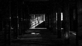 An eerie empty hallway bathed in pale light.