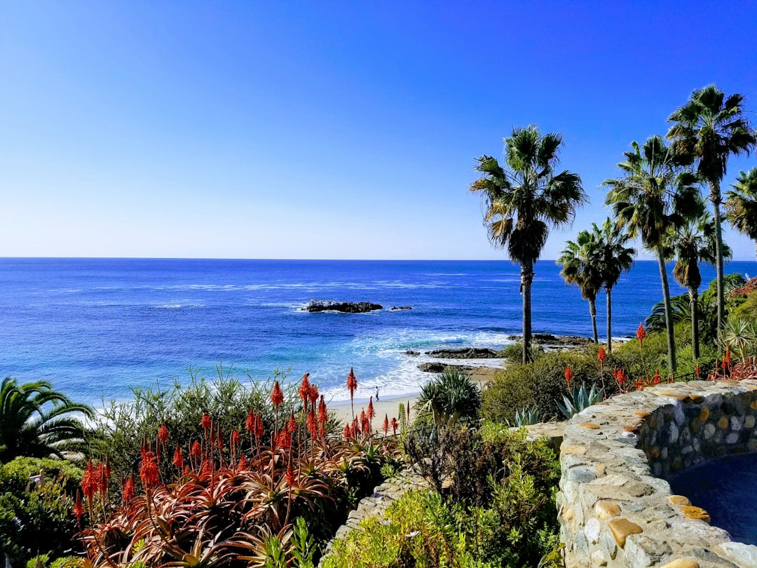 Shore photo spot 361 Cliff Dr La Jolla Cove