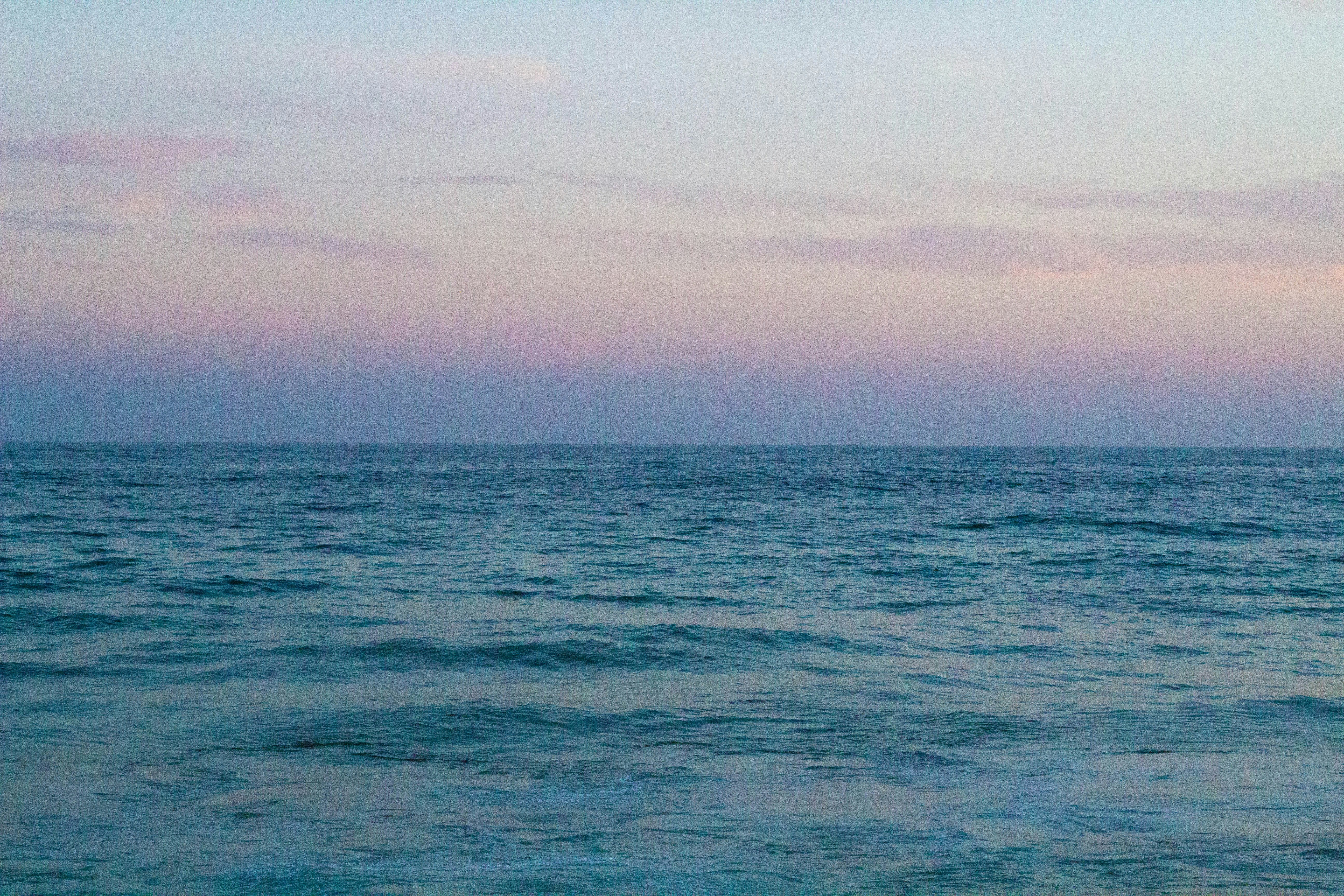 Photo by trindadecarol