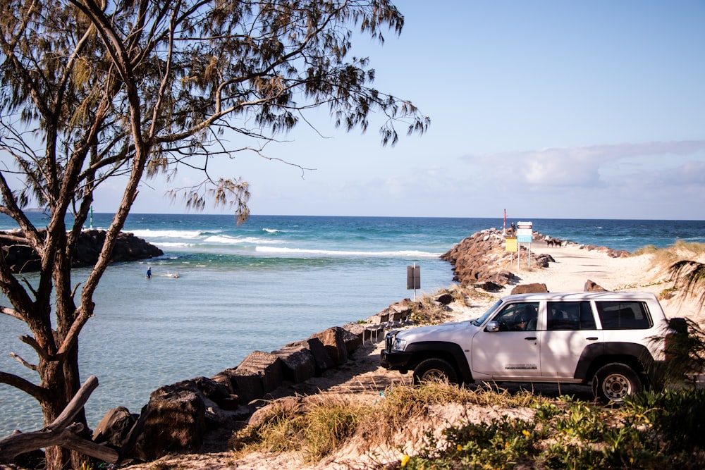 white SUV parked under tree shade by the beach