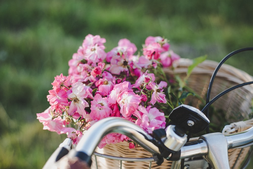 pink and white flower in bicycle basket