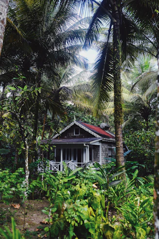 gray and white wooden house surrounded with trees