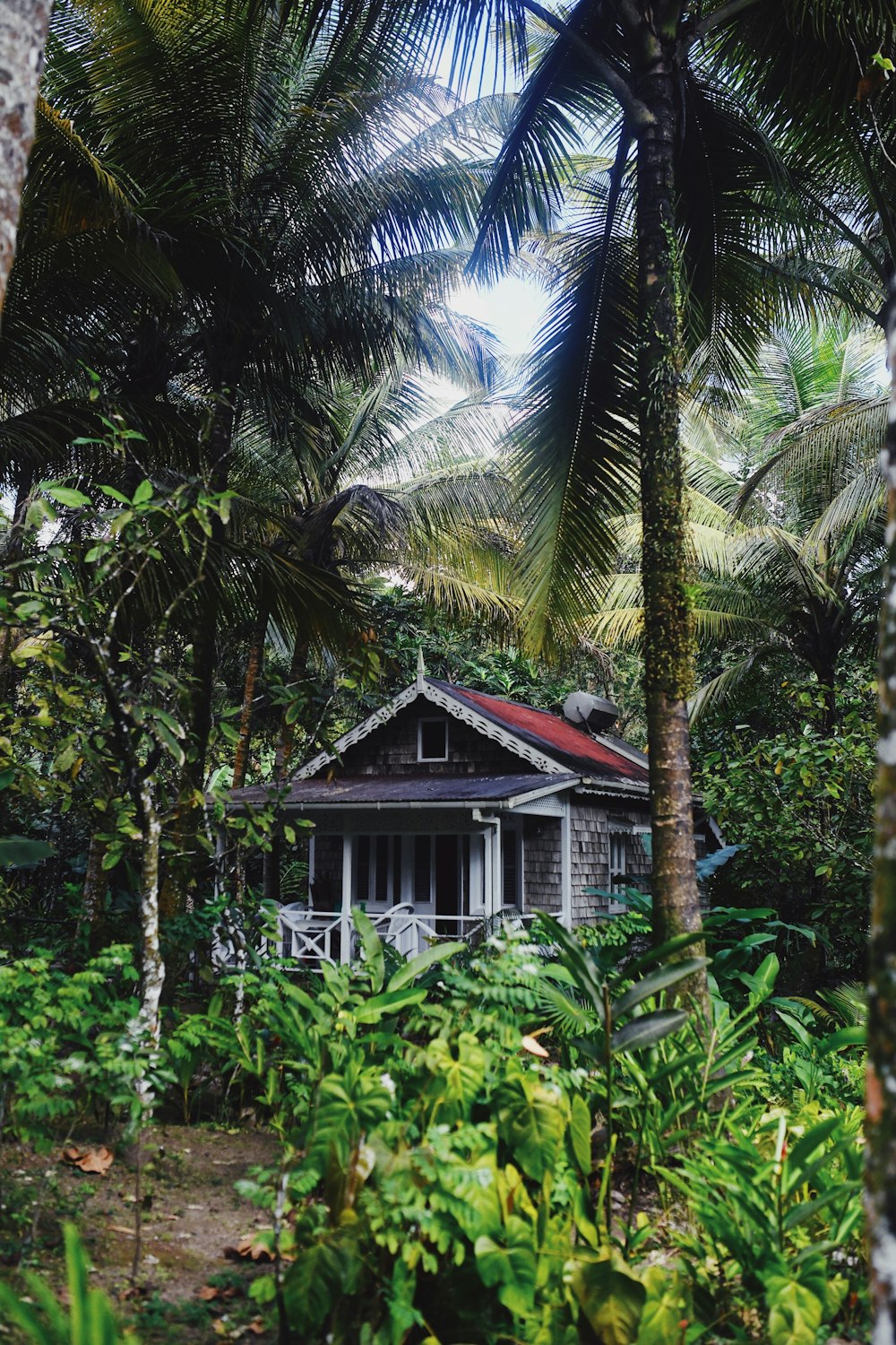 gray and white wooden house surrounded with trees