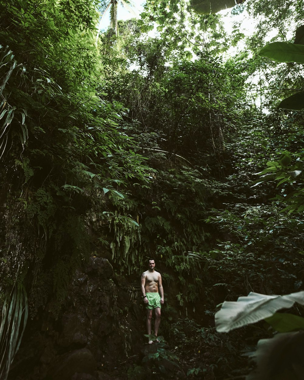 man standing surrounded by plants