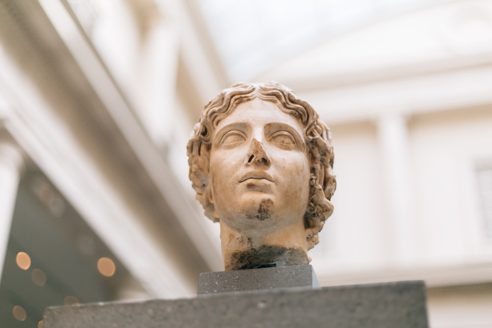 male Grecian bust inside museum