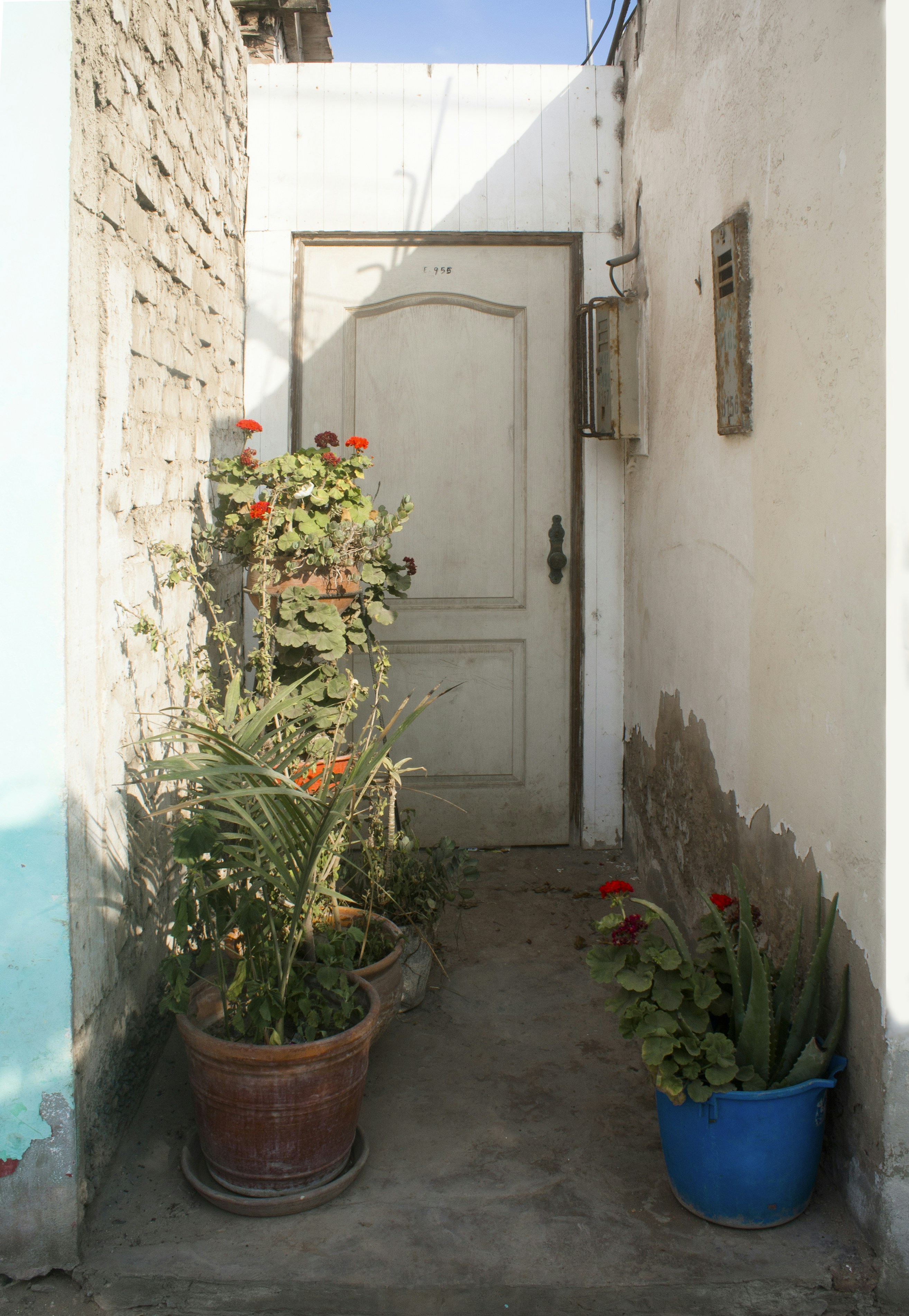 Photo by claudiacatvalenzuela