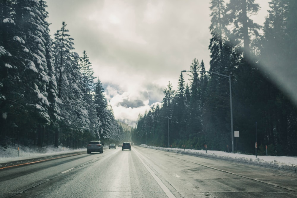 black car on road between trees during daytime