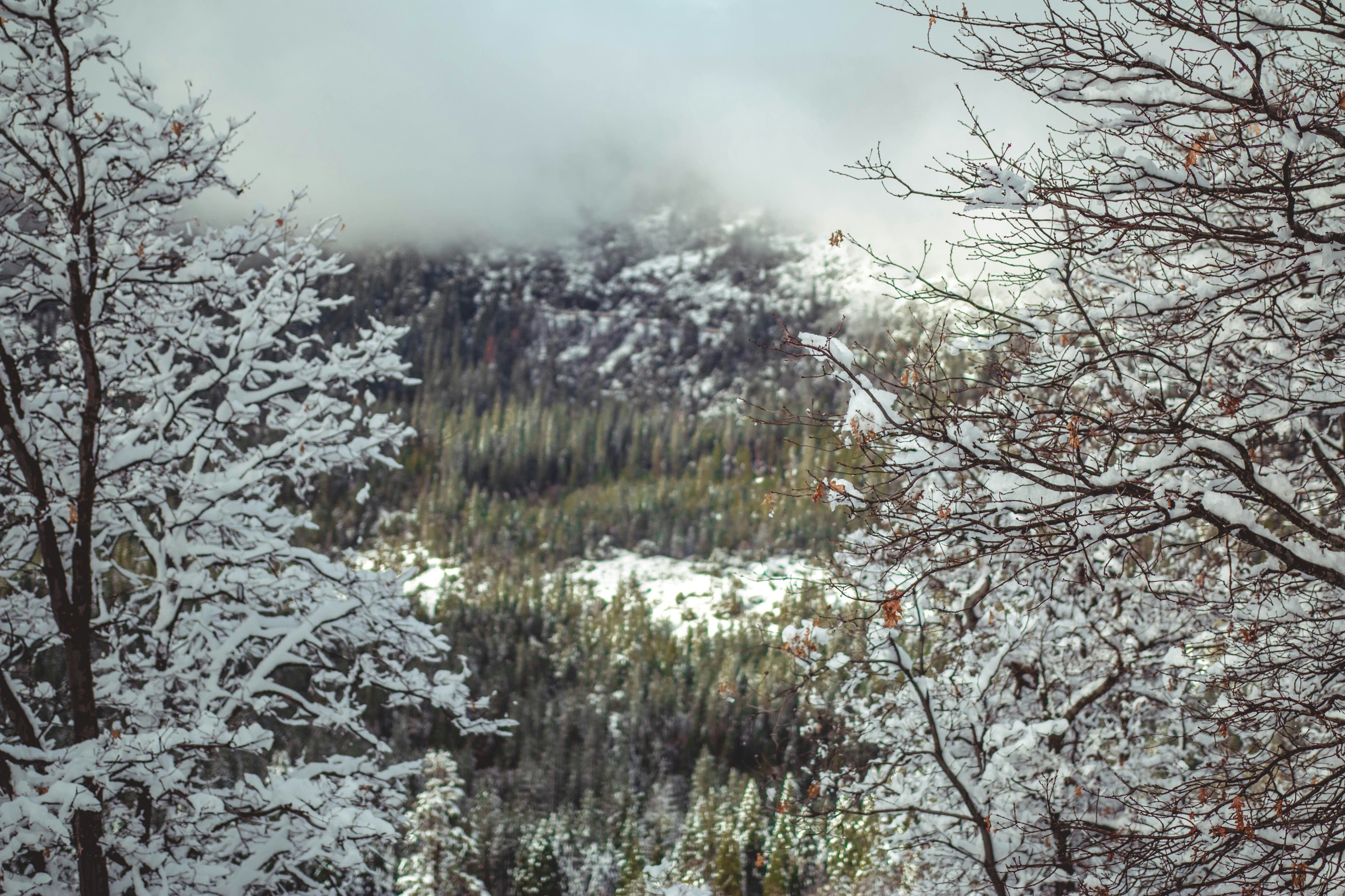 Photo by relentlessjpg