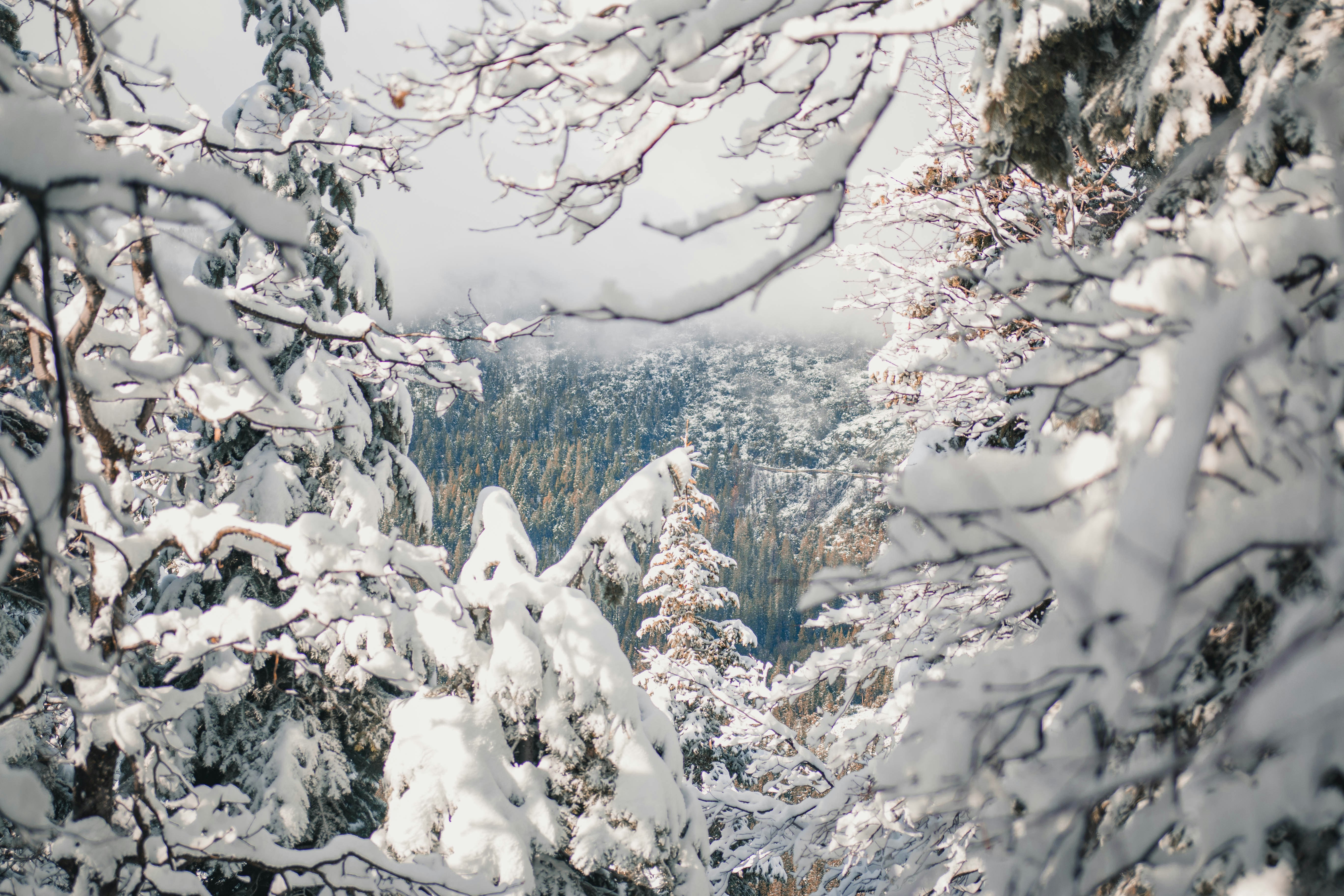 Photo by relentlessjpg