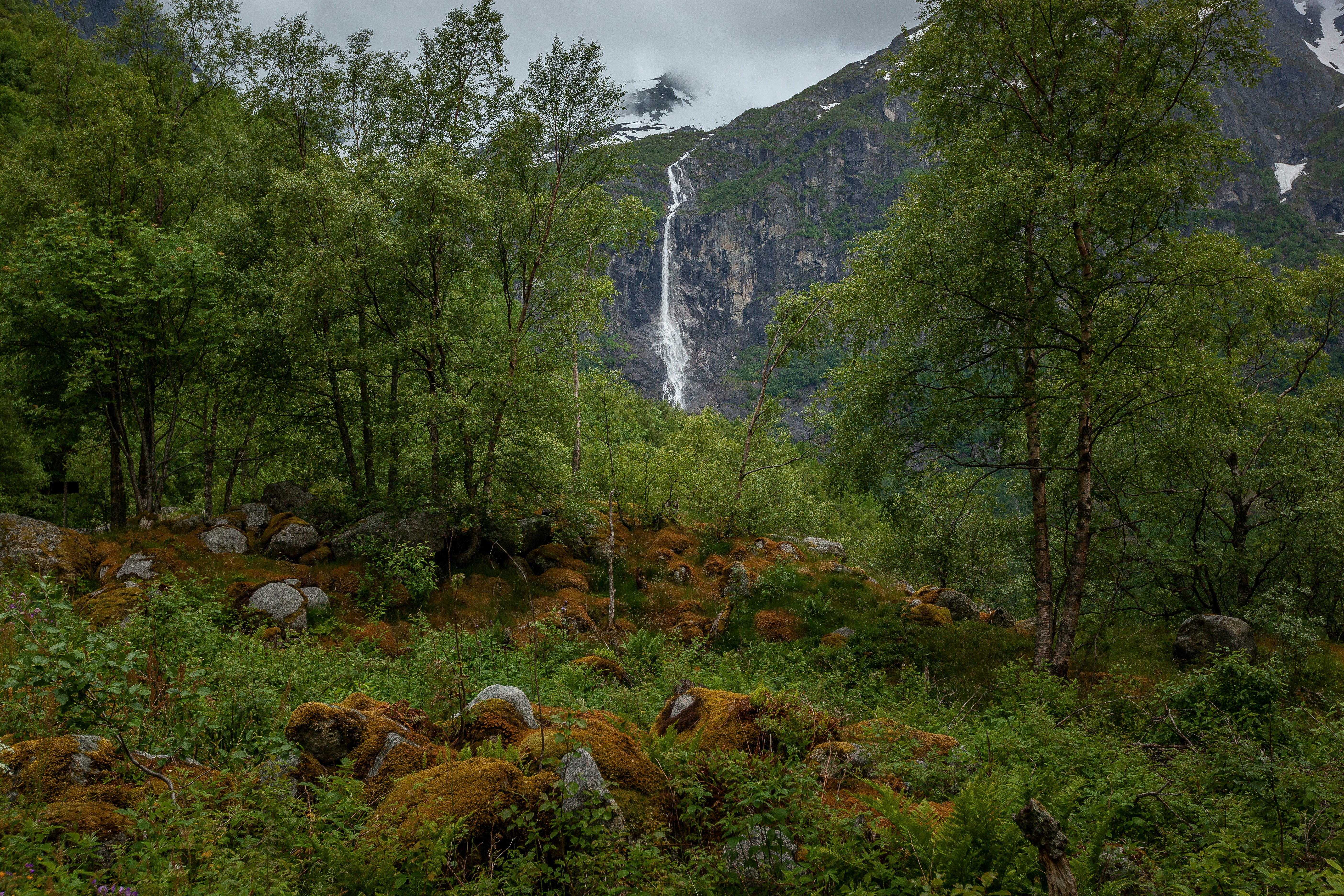 waterfalls in forest under gray sky