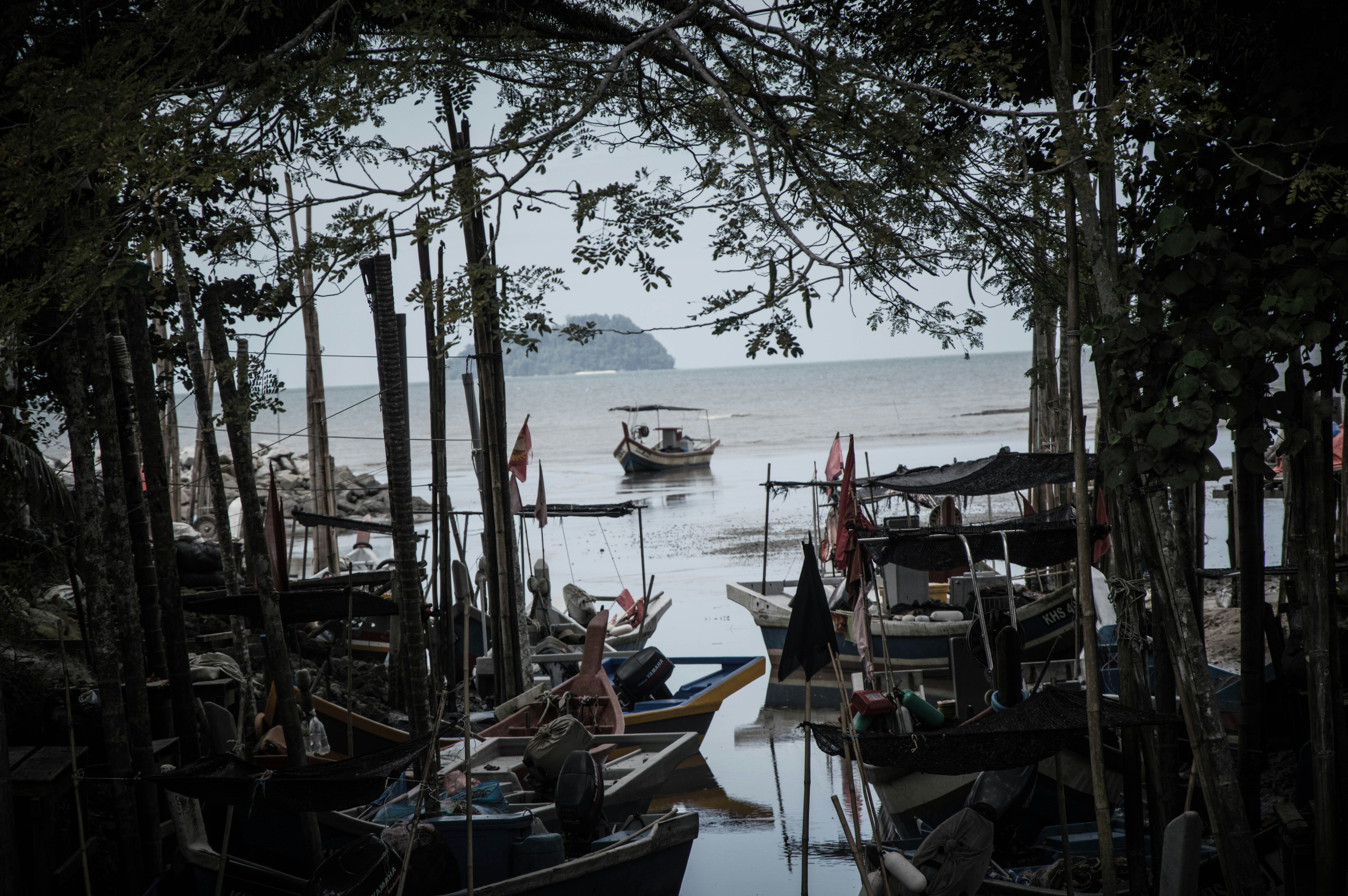 Perahu kayu yang berlabuh di hutan