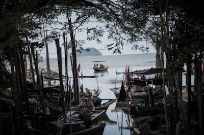 Several fishing boats are moored in a narrow, shaded bay. Overhanging branches and trees surround the area, creating a natural frame. A solitary boat is visible in the distance on calm waters, with an island on the horizon.