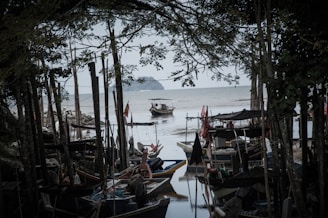 Several fishing boats are moored in a narrow, shaded bay. Overhanging branches and trees surround the area, creating a natural frame. A solitary boat is visible in the distance on calm waters, with an island on the horizon.